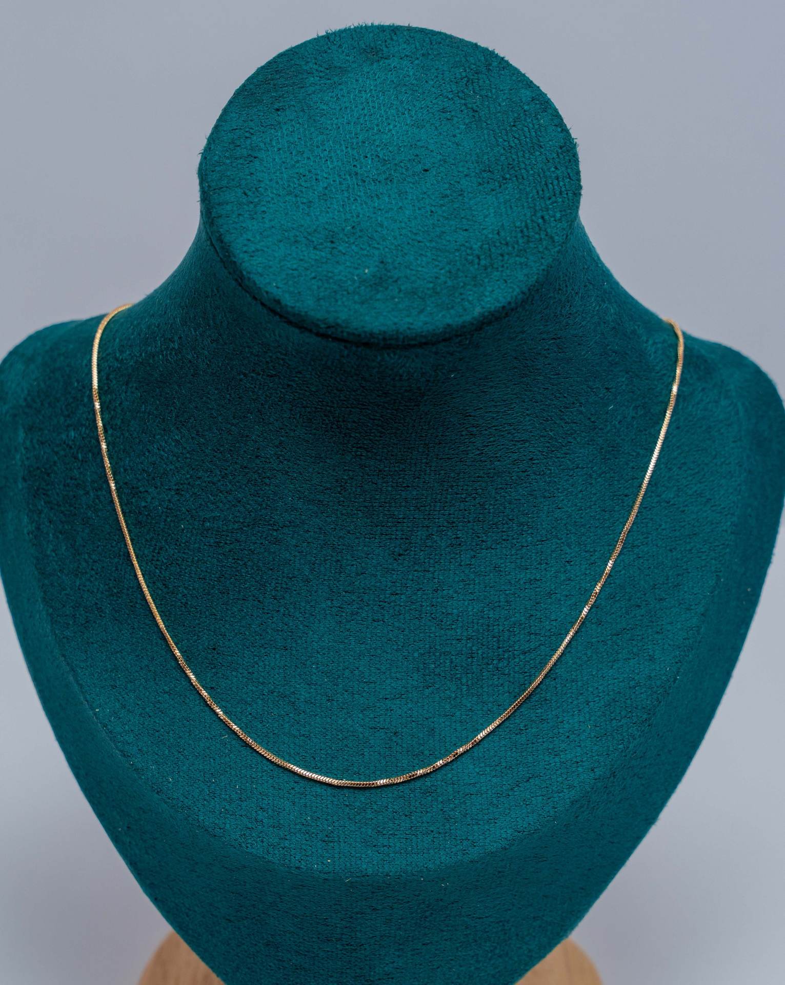 Gold Snake Chain Necklace