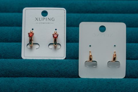 Gold-Tone Hoop Earrings with Red Crystal