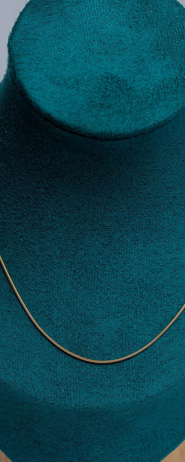 Gold Snake Chain Necklace