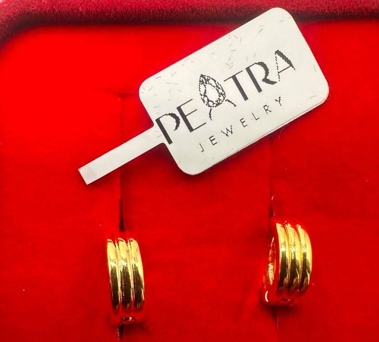 Peatra Gold Cutout Circle Earrings
